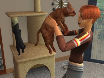 The Sims 2:  / The Sims 2: Pets (2006) PC | 